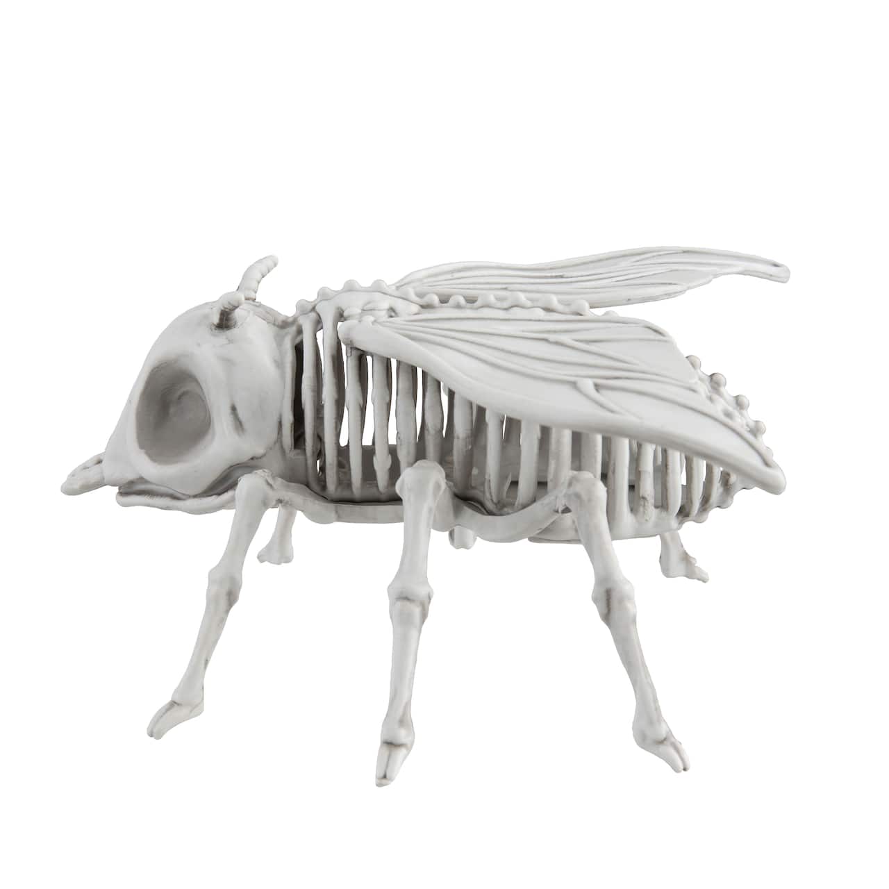 5.25" Fly Skeleton by Ashland®
